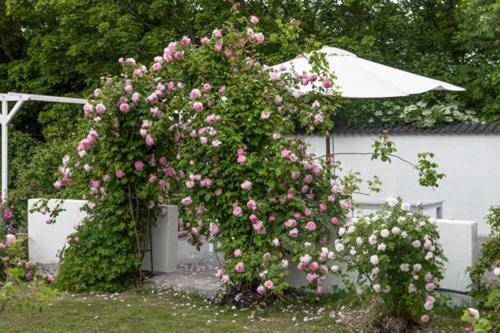 Vallby Cottage Enkoping Exterior photo